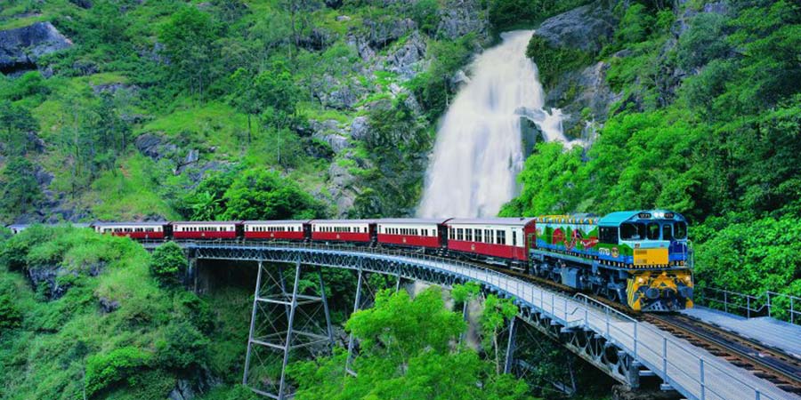 Viewing a tropical rainforest from the Kuranda Railway
