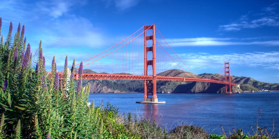 The Golden Gate Bridge