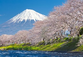 Mount Fuji