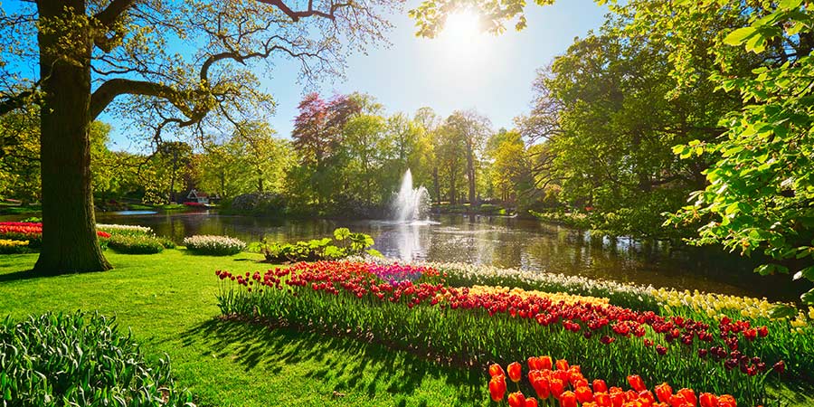 Keukenhof Flower Garden