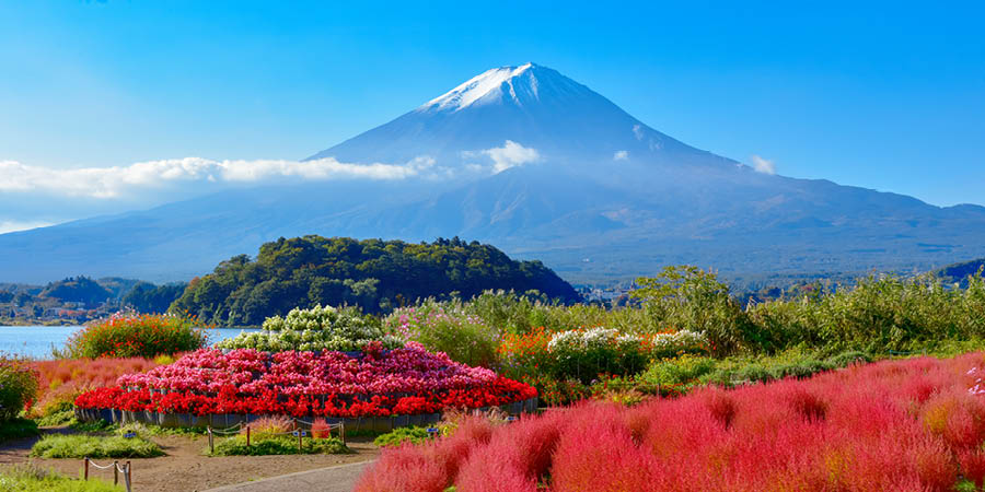 Mount Fuji